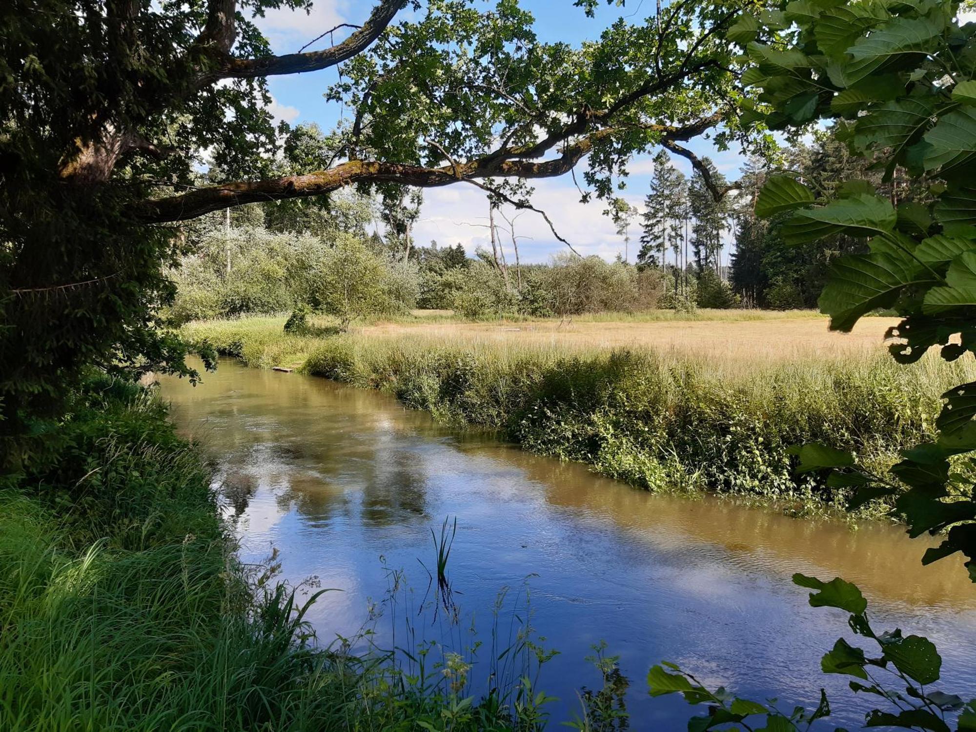 Villa U Lekninu Doksy  Esterno foto